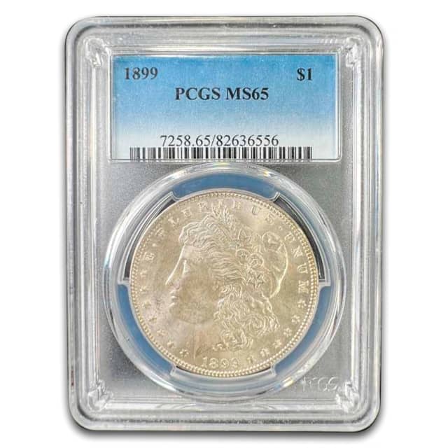 2020 1 oz Platinum South African Big Five Elephant Coin